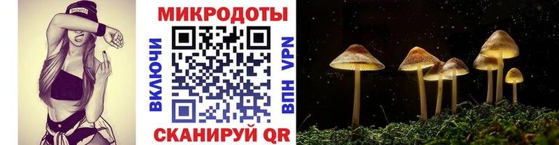 Галлюциногенные грибы Cubensis  Купить  Зея 